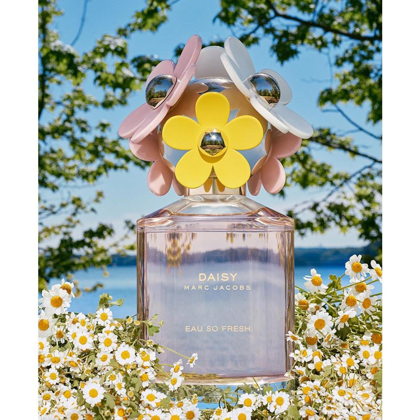 3-Pc. Daisy Eau So Fresh Eau de Toilette Gift Set