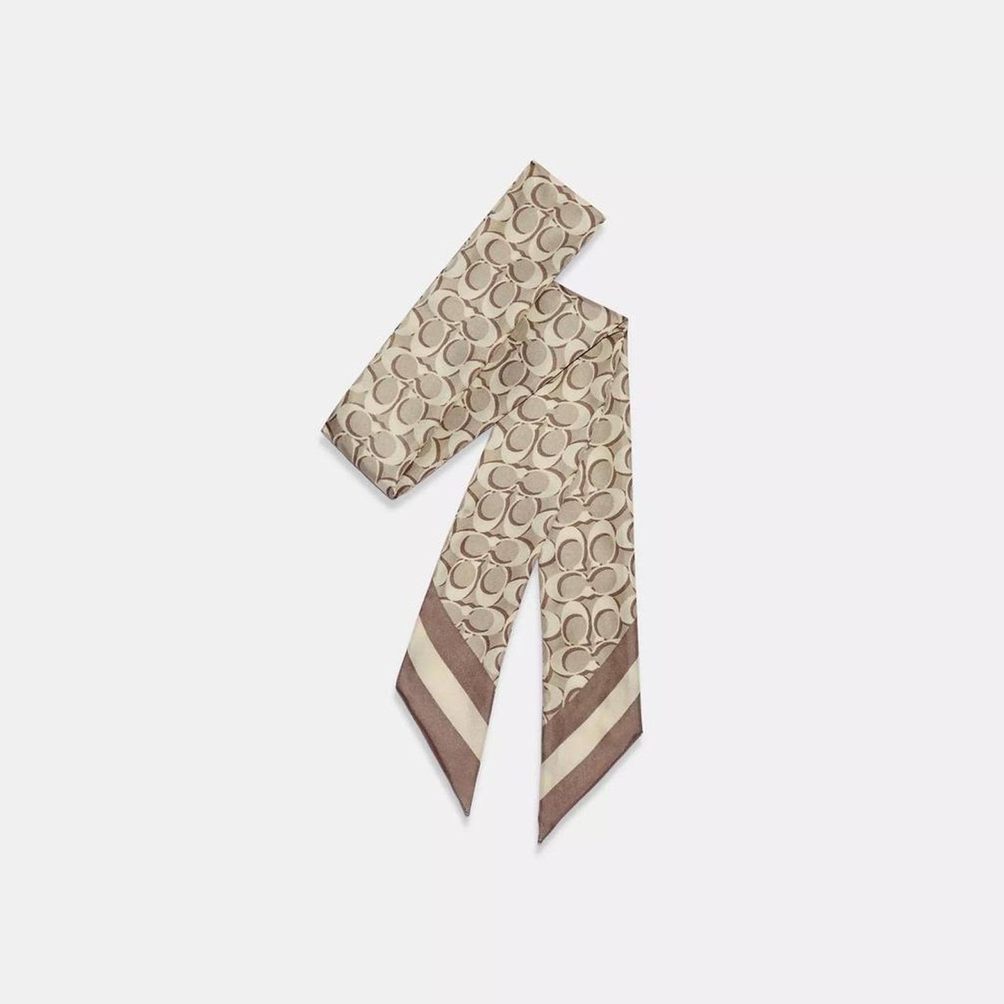 Signature Print Silk Skinny Scarf