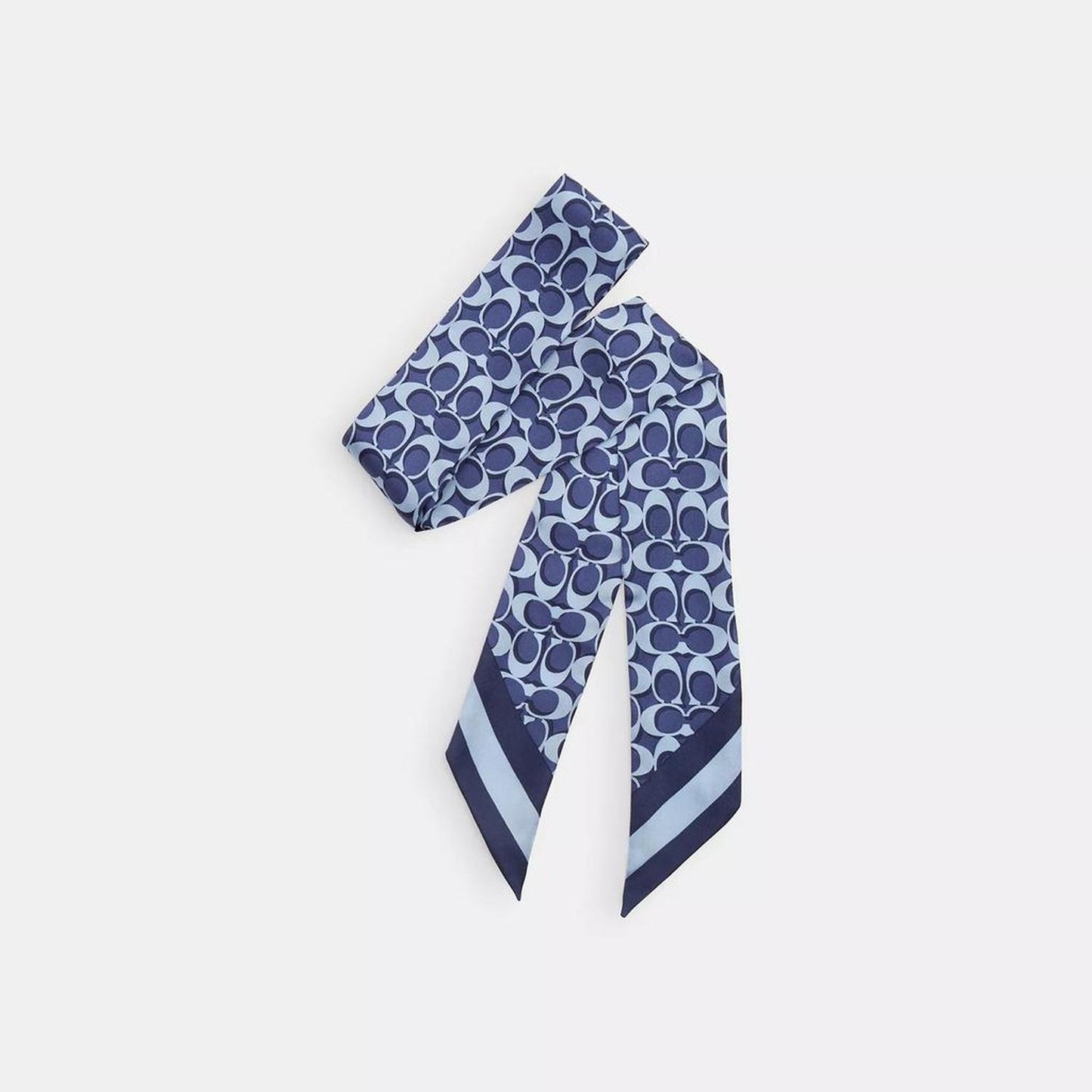 Signature Print Silk Skinny Scarf