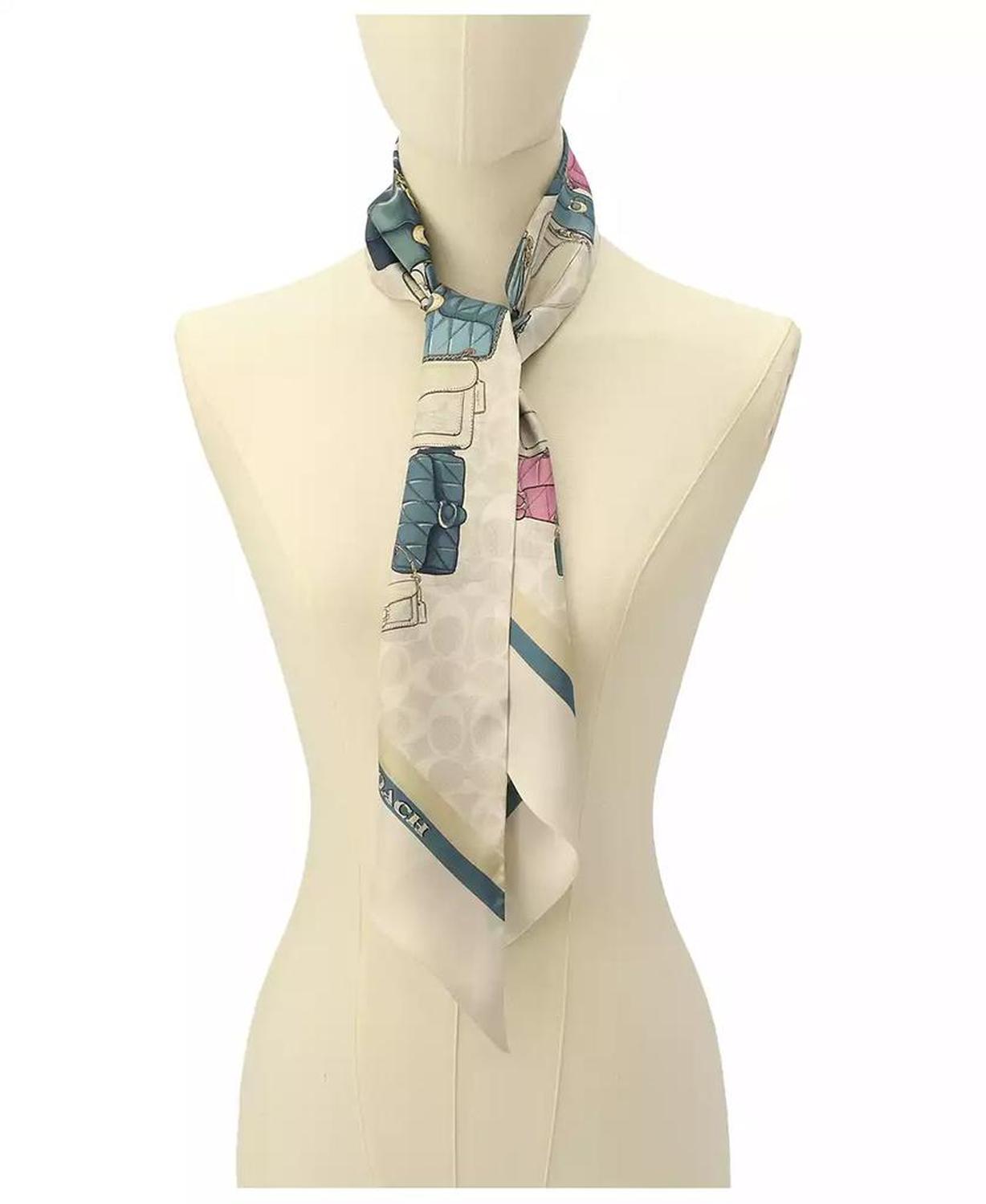 Stacked Tabby Bags Print Silk Skinny Scarf