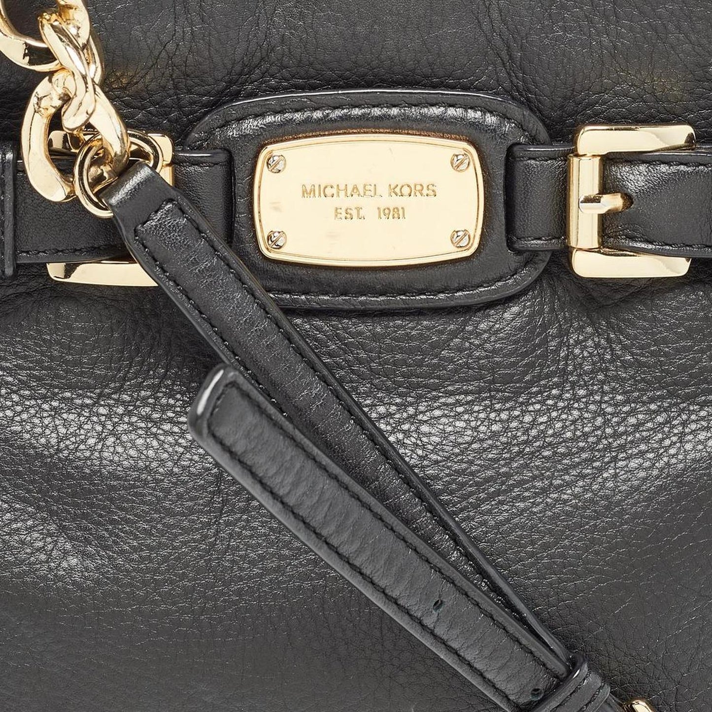 Michael Michael Kors Leather Hamilton Crossbody Bag