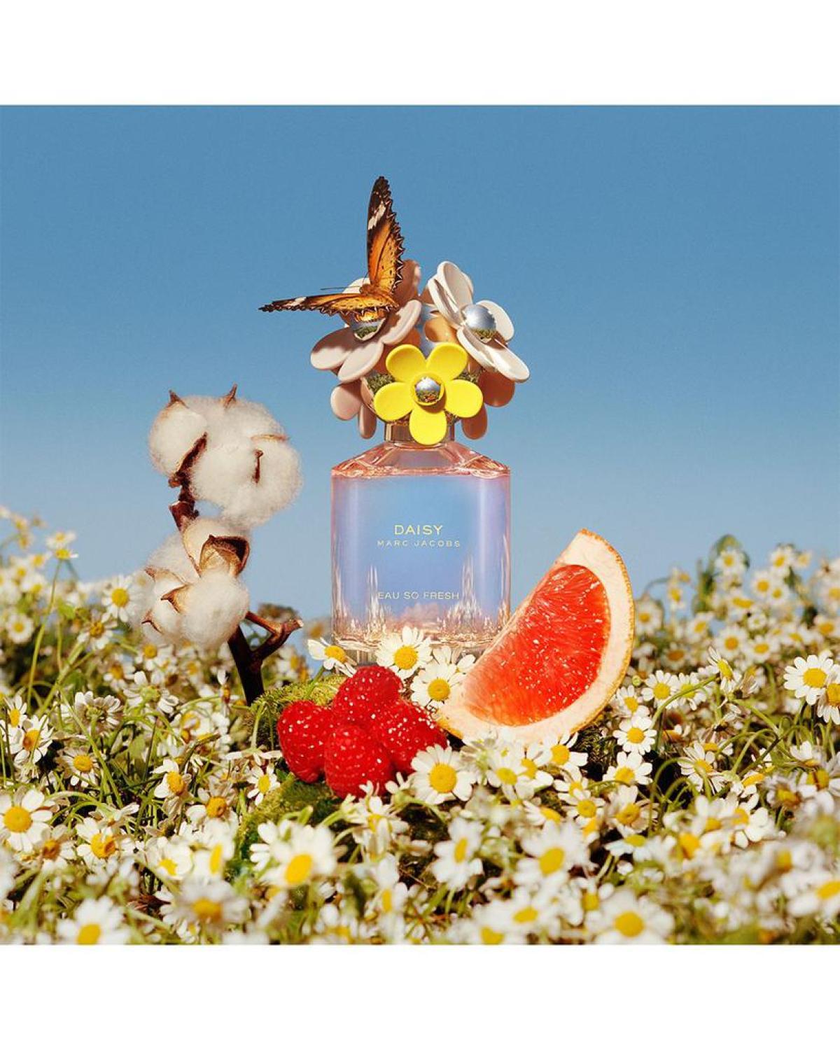 Daisy Eau So Fresh Eau de Toilette Gift Set ($213 value)