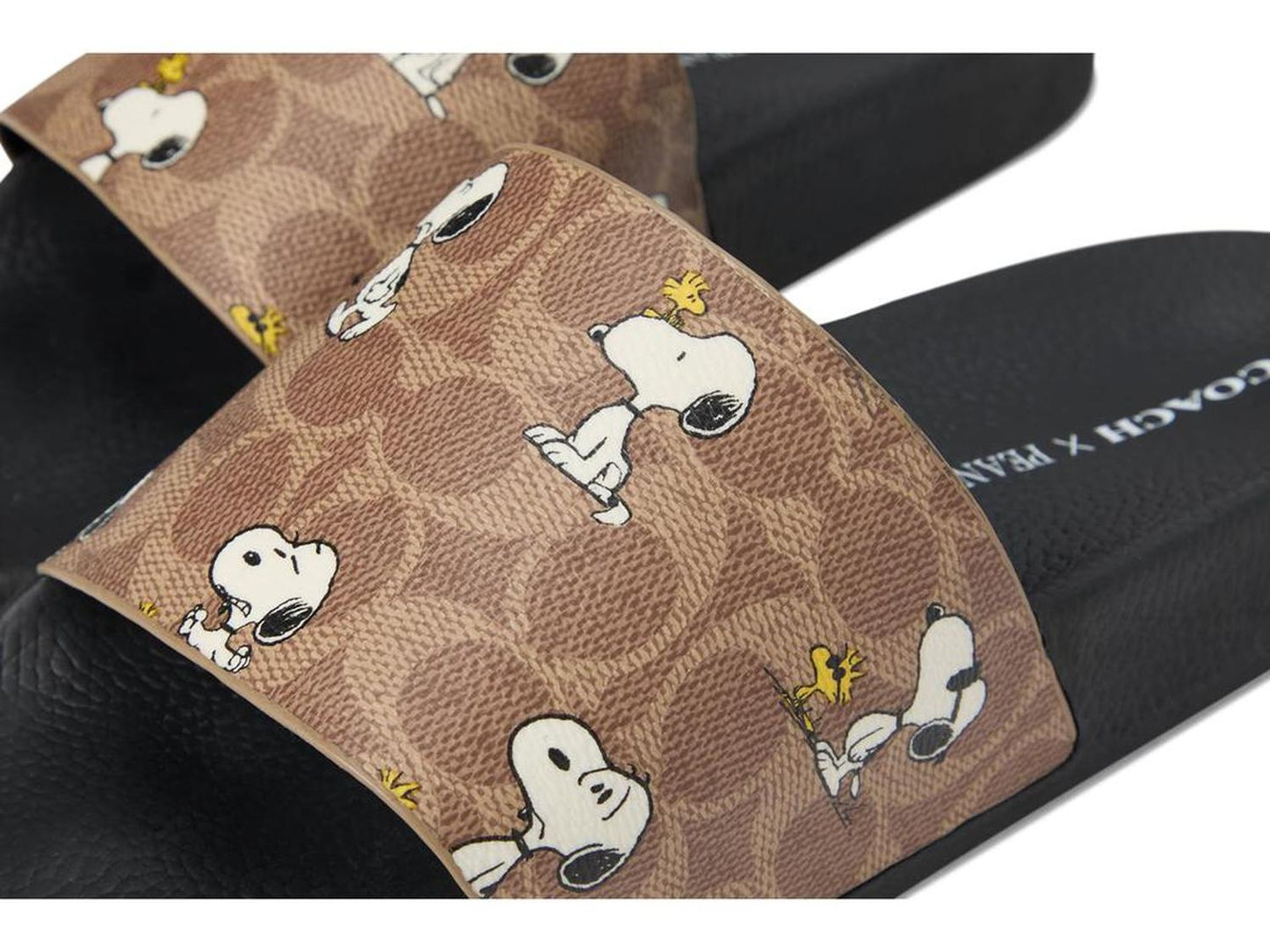Coach X Peanuts Pool Slide in Signature Canvas with Snoopy Print