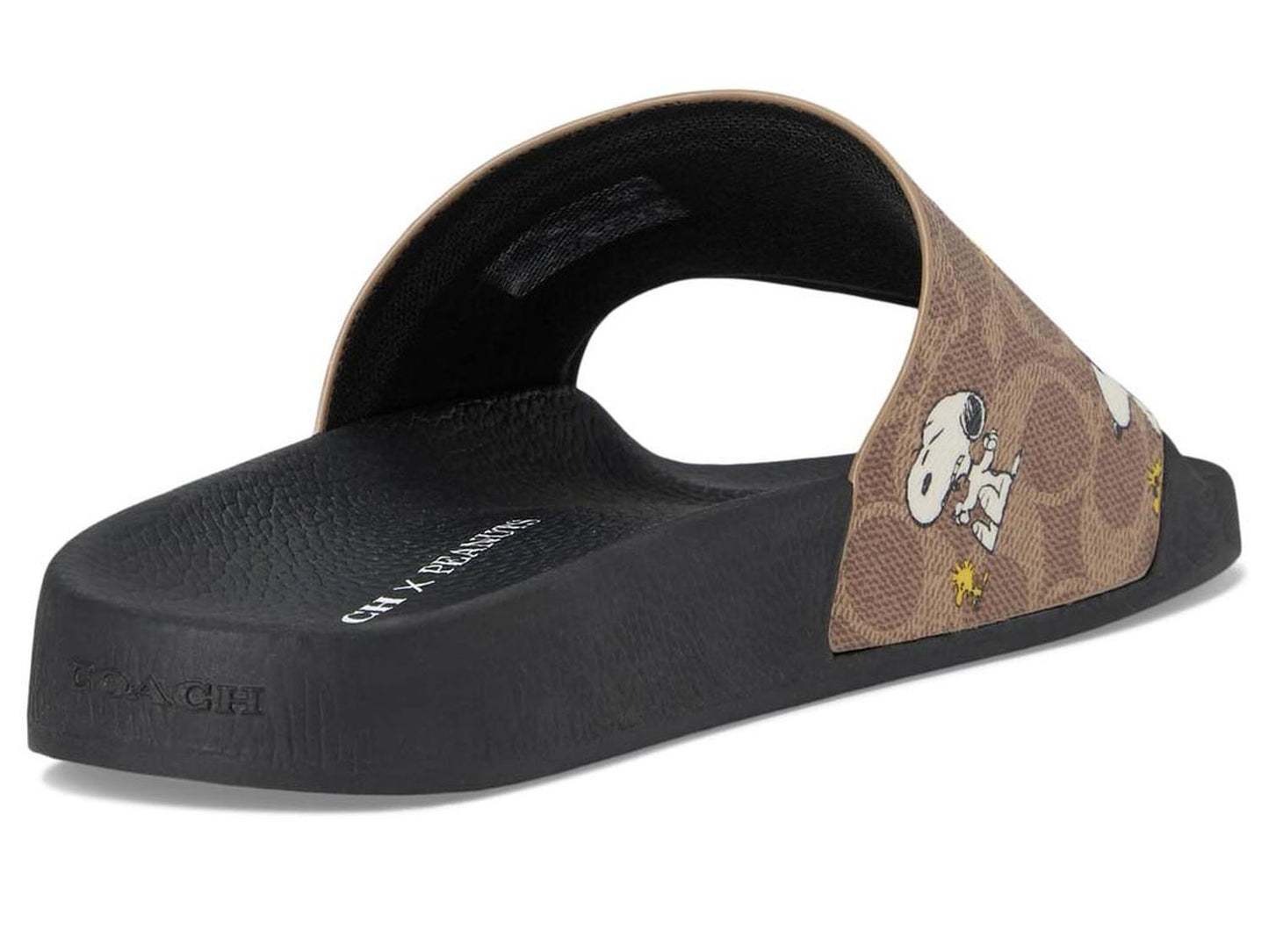 Coach X Peanuts Pool Slide in Signature Canvas with Snoopy Print