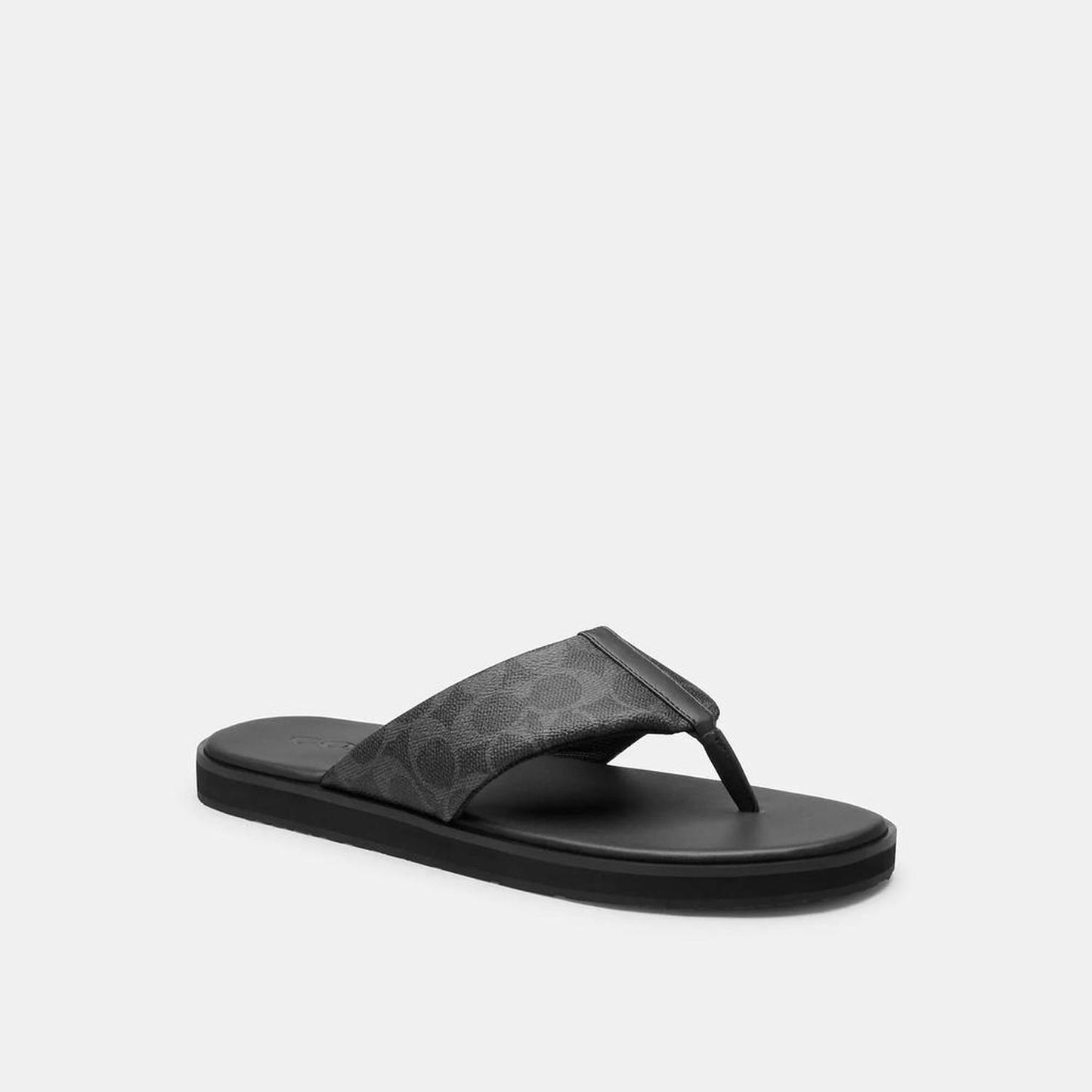 Flip Flop In Signature Canvas