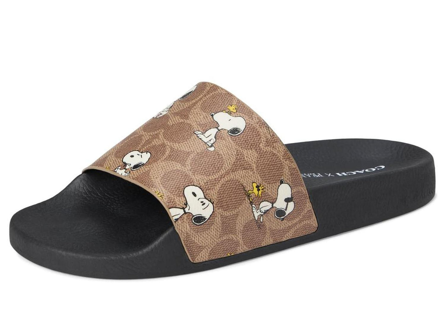 Coach X Peanuts Pool Slide in Signature Canvas with Snoopy Print