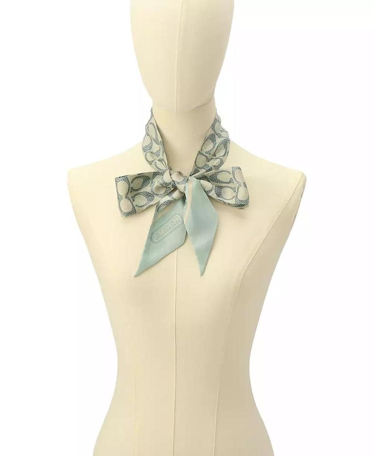 Women's Vintage Signature Print Silk Skinny Scarf