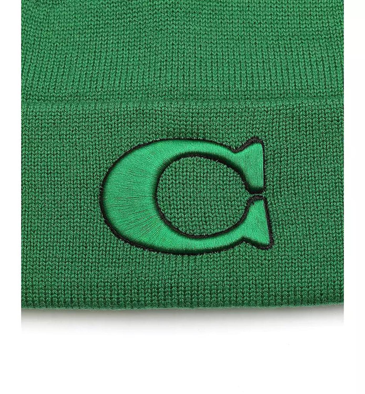 Men's Varsity Logo Beanie