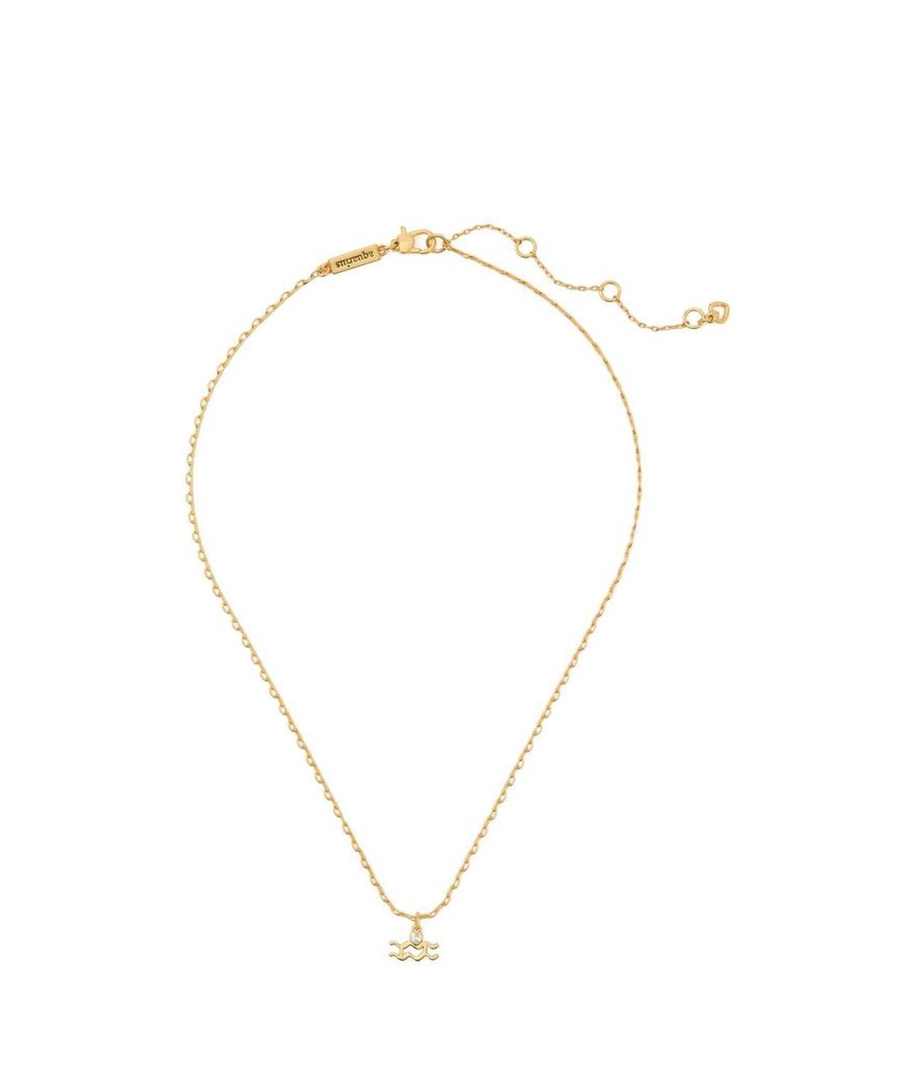 What'S Your Sign Aquarius Mini Pendant