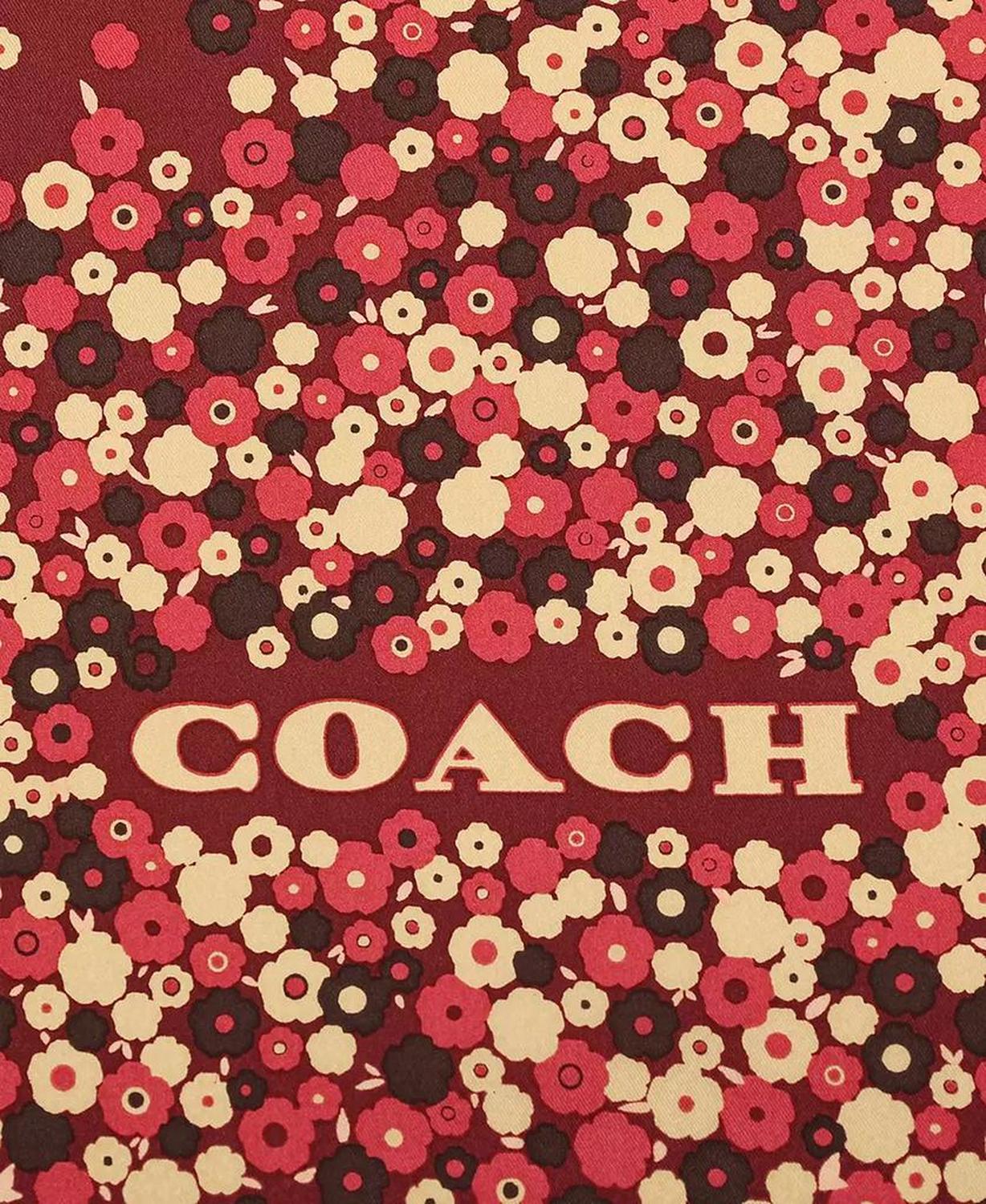 Women's Horse and Carriage Tea Rose Printed Silk Scarf