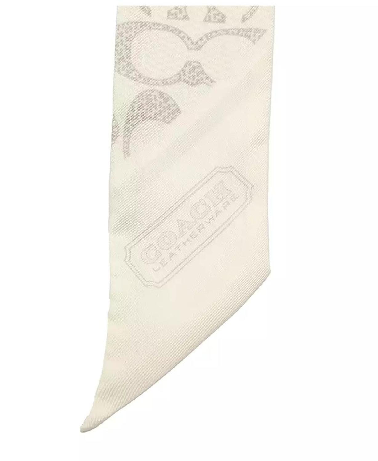 Textured Signature Print Silk Skinny Scarf
