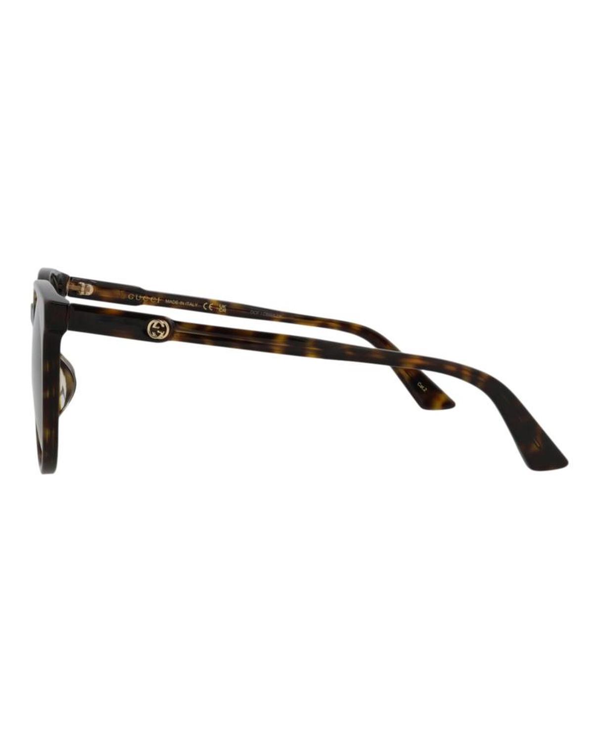 Round-Frame Acetate Sunglasses