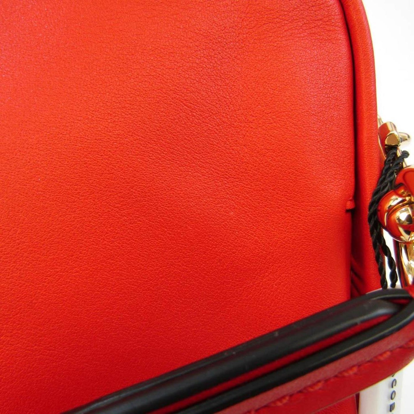 The Mini Squeeze Leather Shoulder Bag (Pre-Owned)