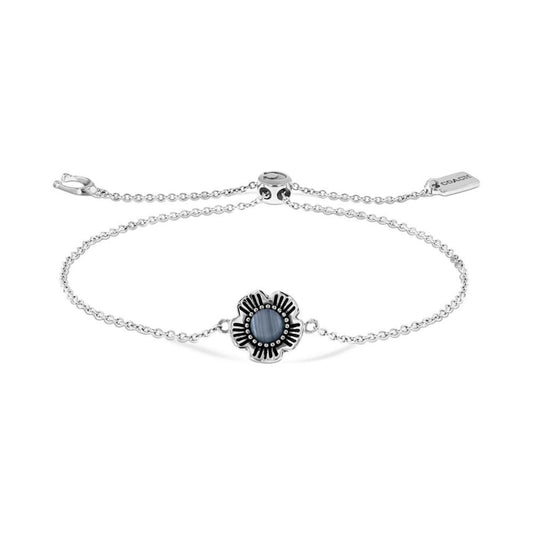 Women's Perry Stainless Steel Mesh Bracelet Watch 28mm Gift Set