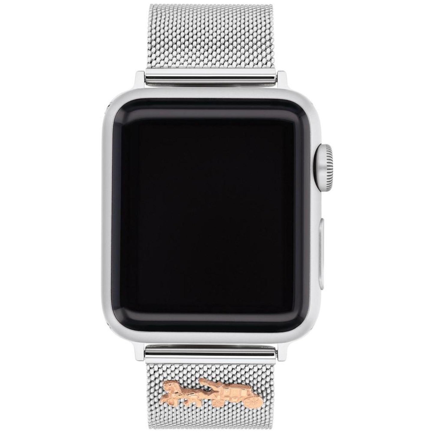 Stainless Steel Mesh 38/40/41mm Apple Watch® Band