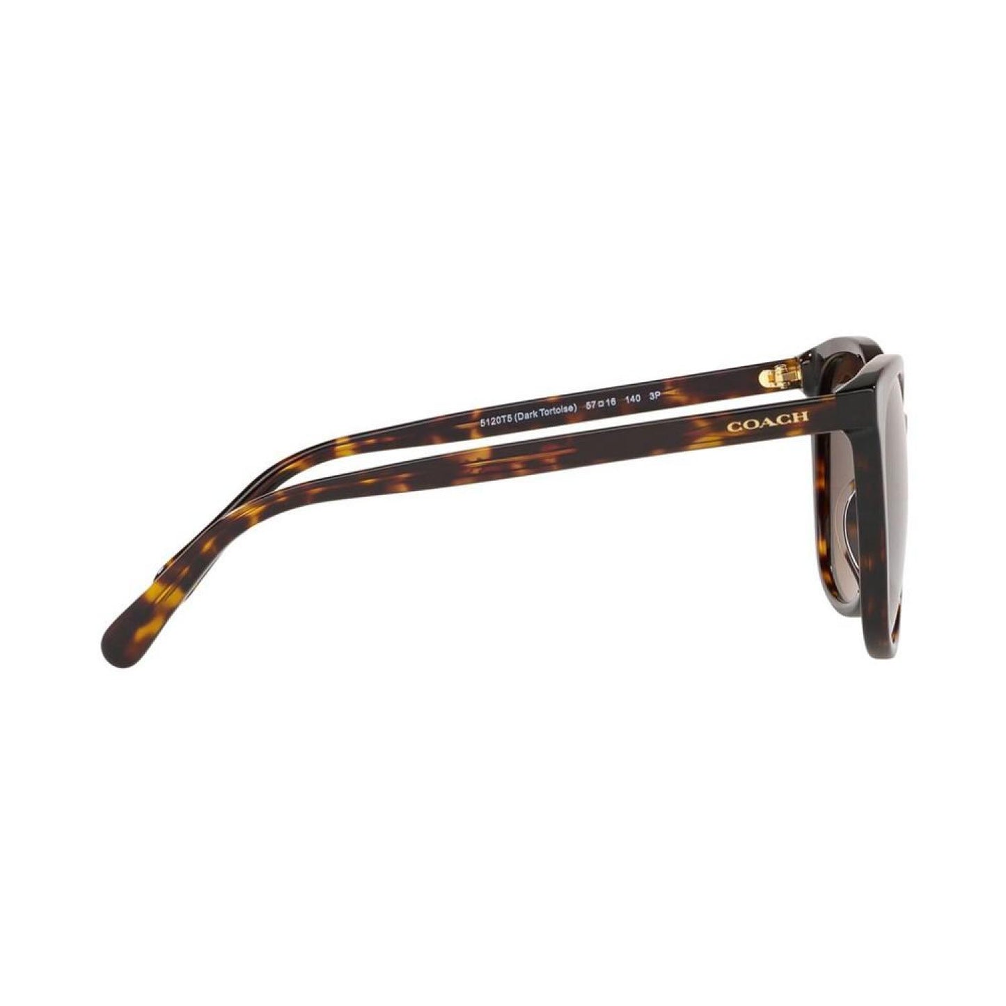 Polarized Sunglasses, HC8271U 57 L1101