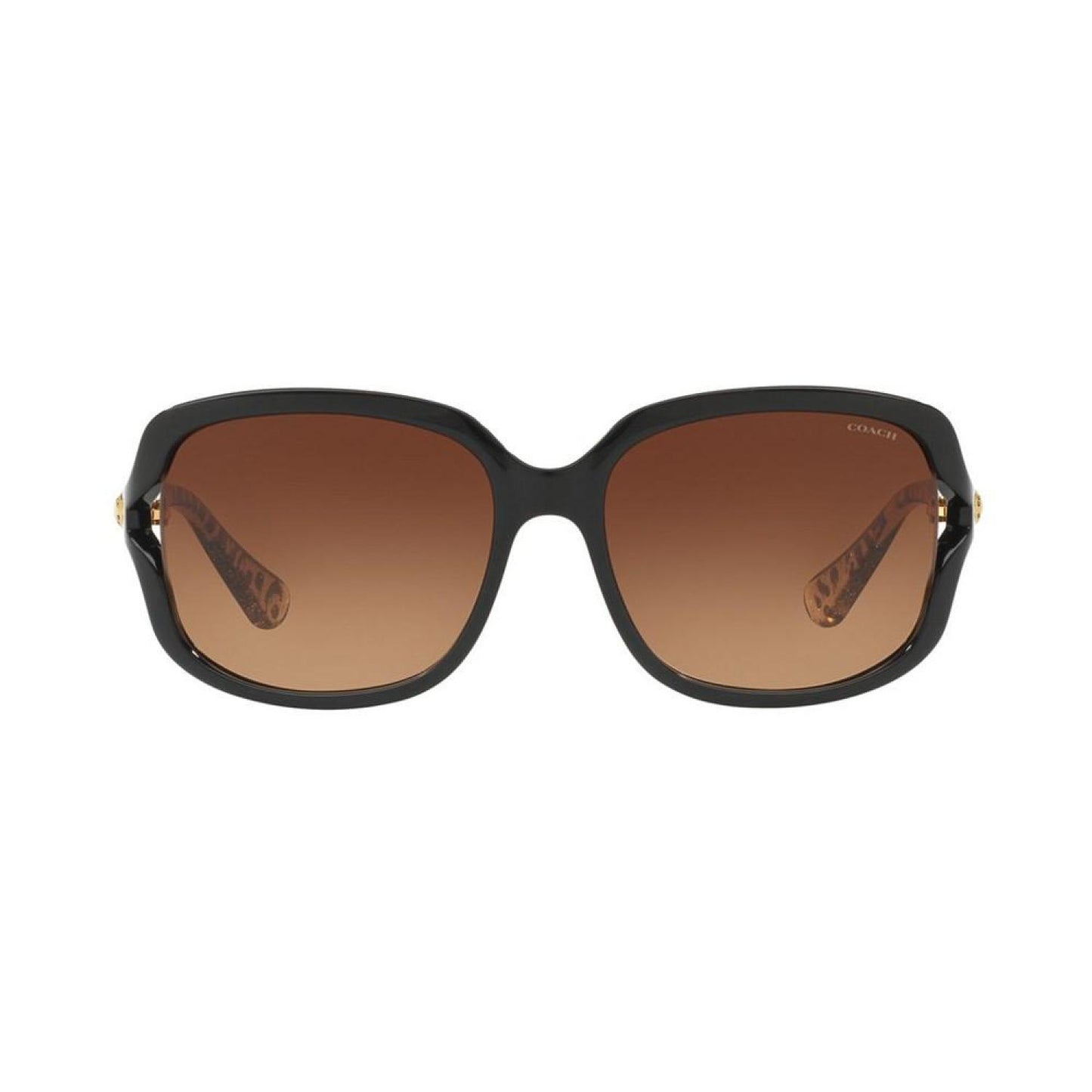 Sunglasses, HC8169