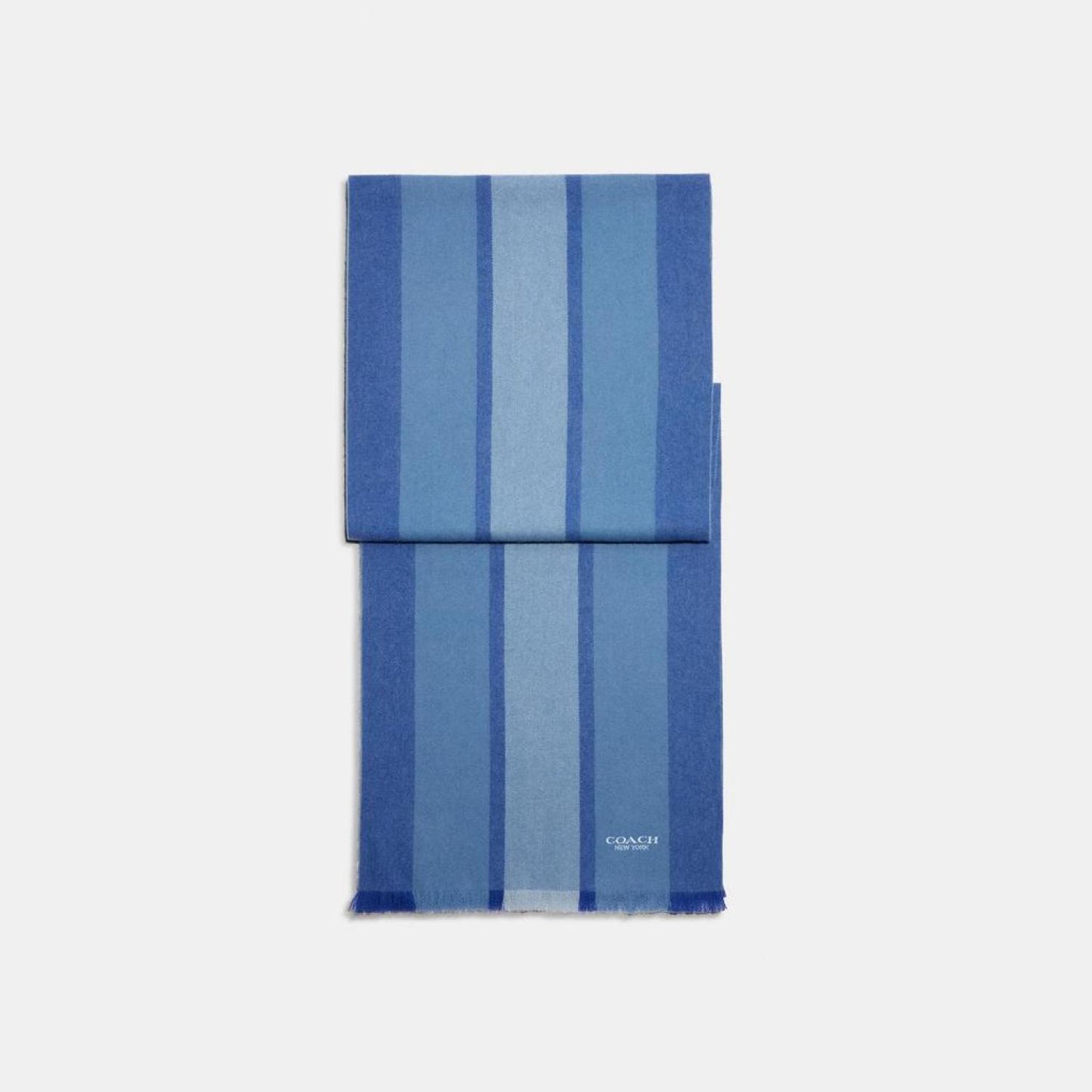 Coach Outlet Varsity Sport Scarf