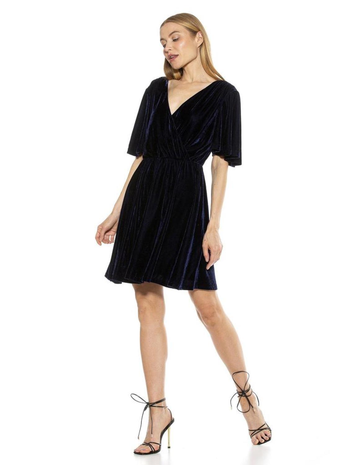 Oakless Velvet Dress