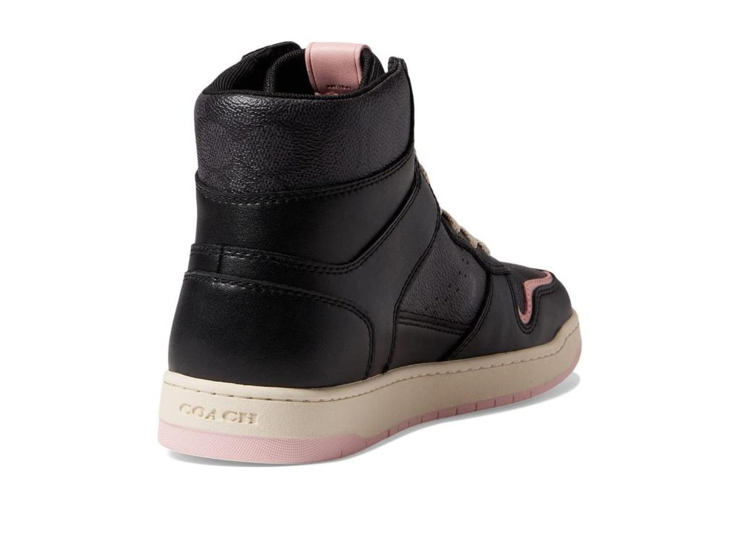 High-Top Coated Canvas Sneaker