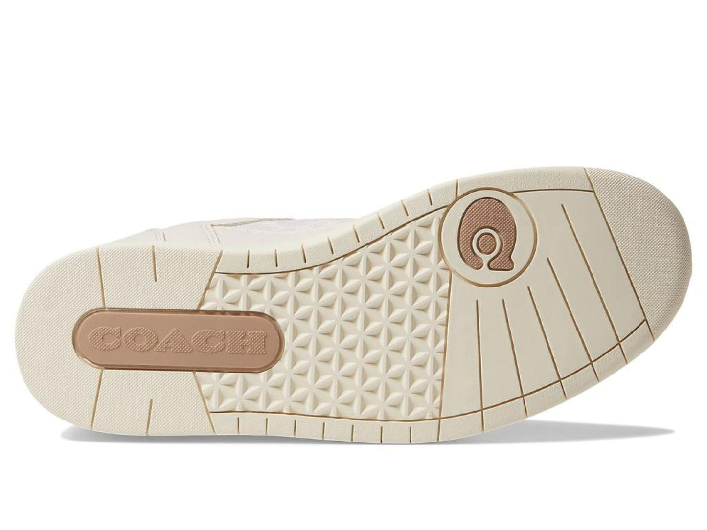 High-Top Coated Canvas Sneaker