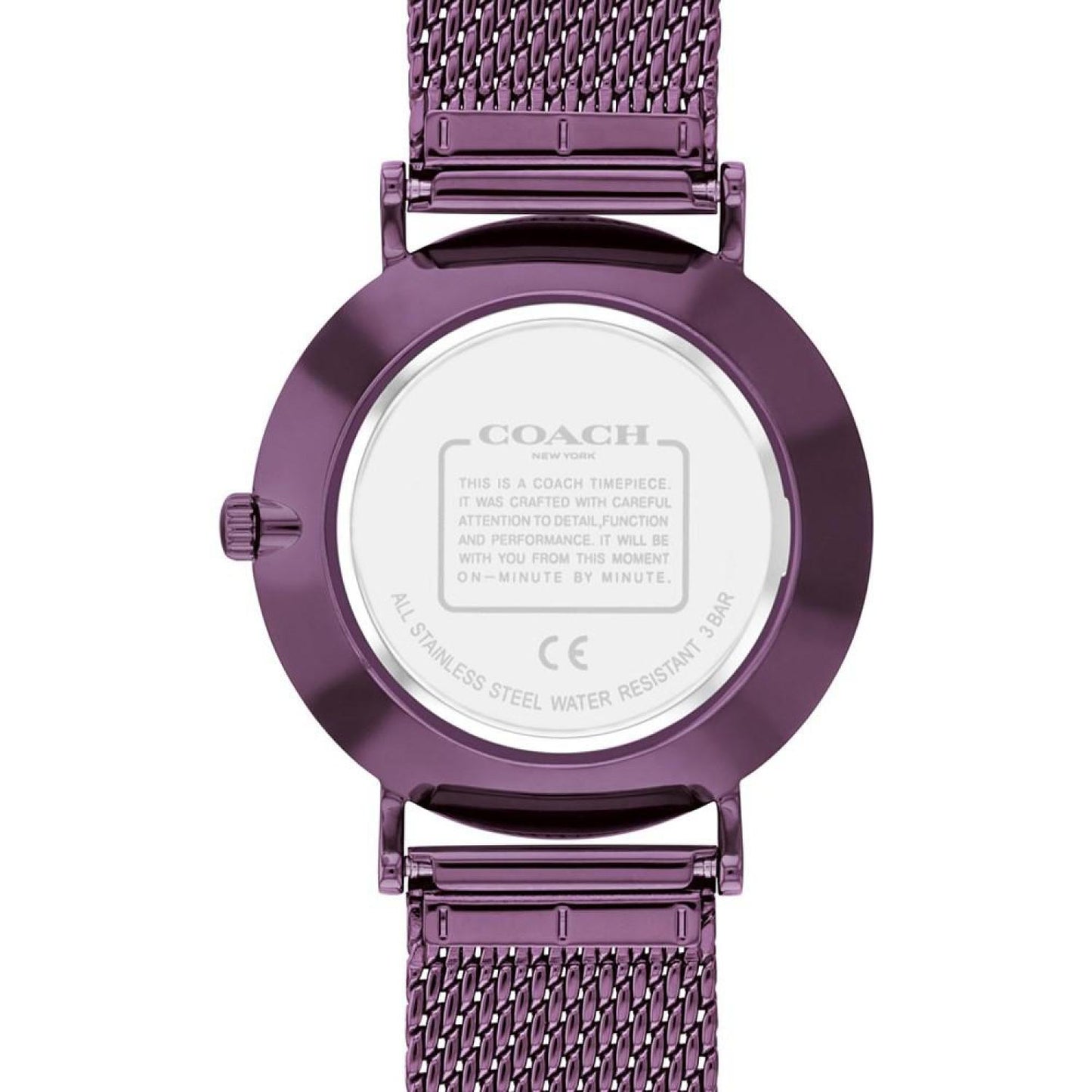 Women's Perry Purple Stainless Steel Mesh Bracelet Watch