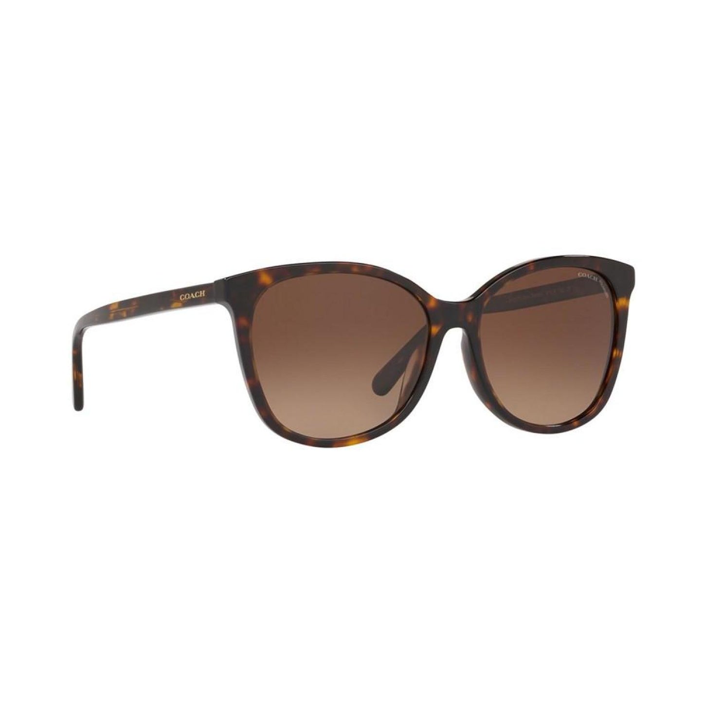 Polarized Sunglasses, HC8271U 57 L1101