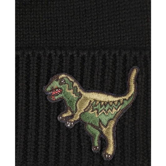 Men's Tyrannosaurus Rex Patch Beanie
