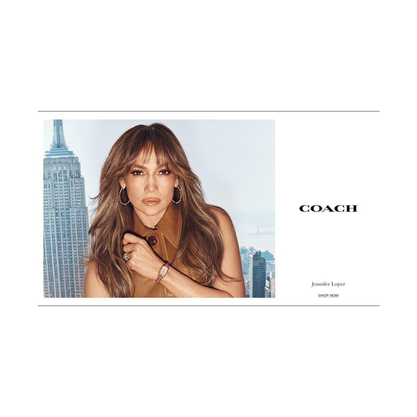 Signature Mixed Hoop Earrings