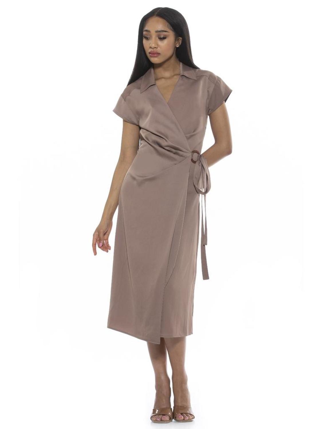 Paris Belt Details Dress