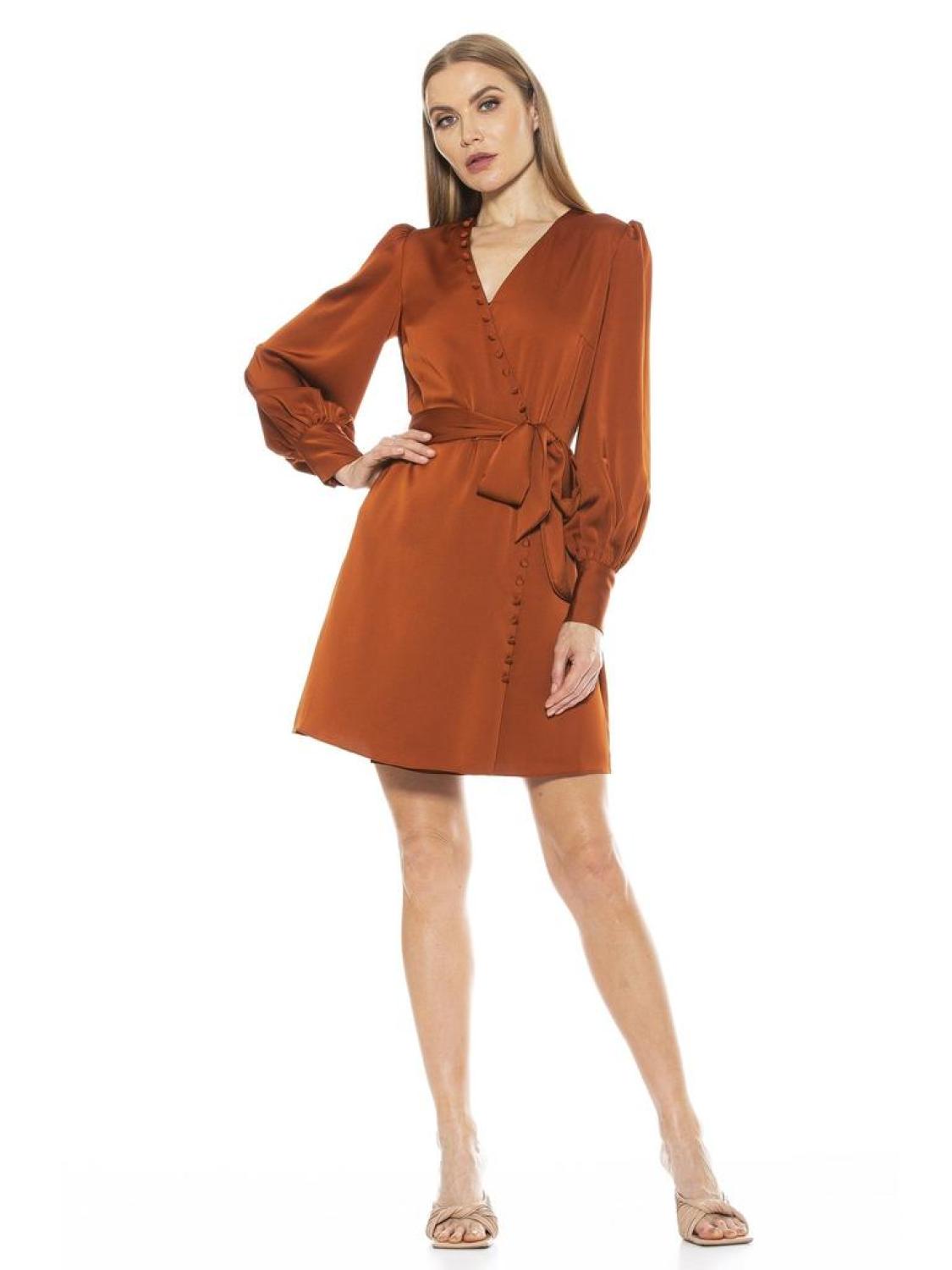 Mini Wrap Dress