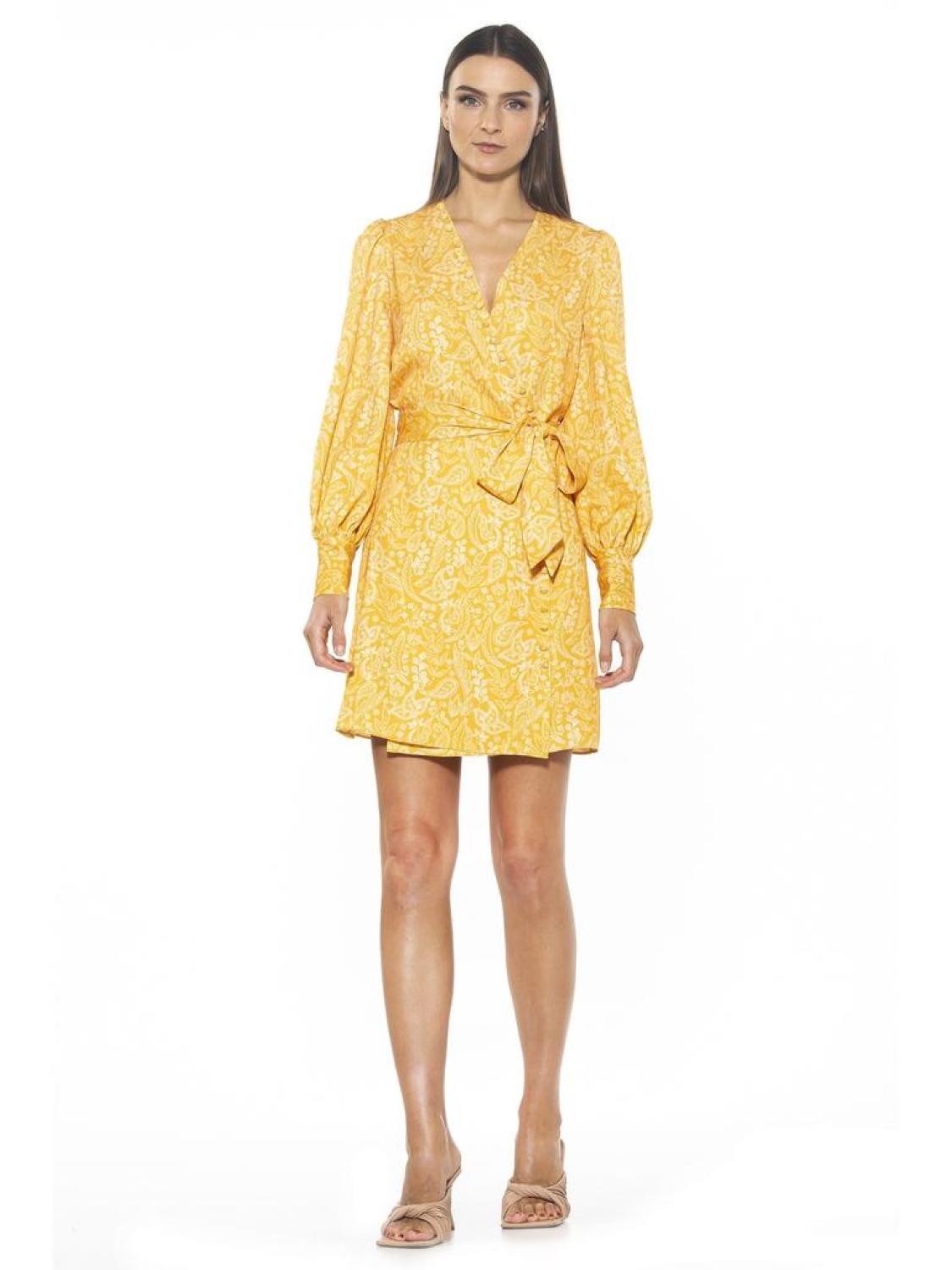 Mini Wrap Dress