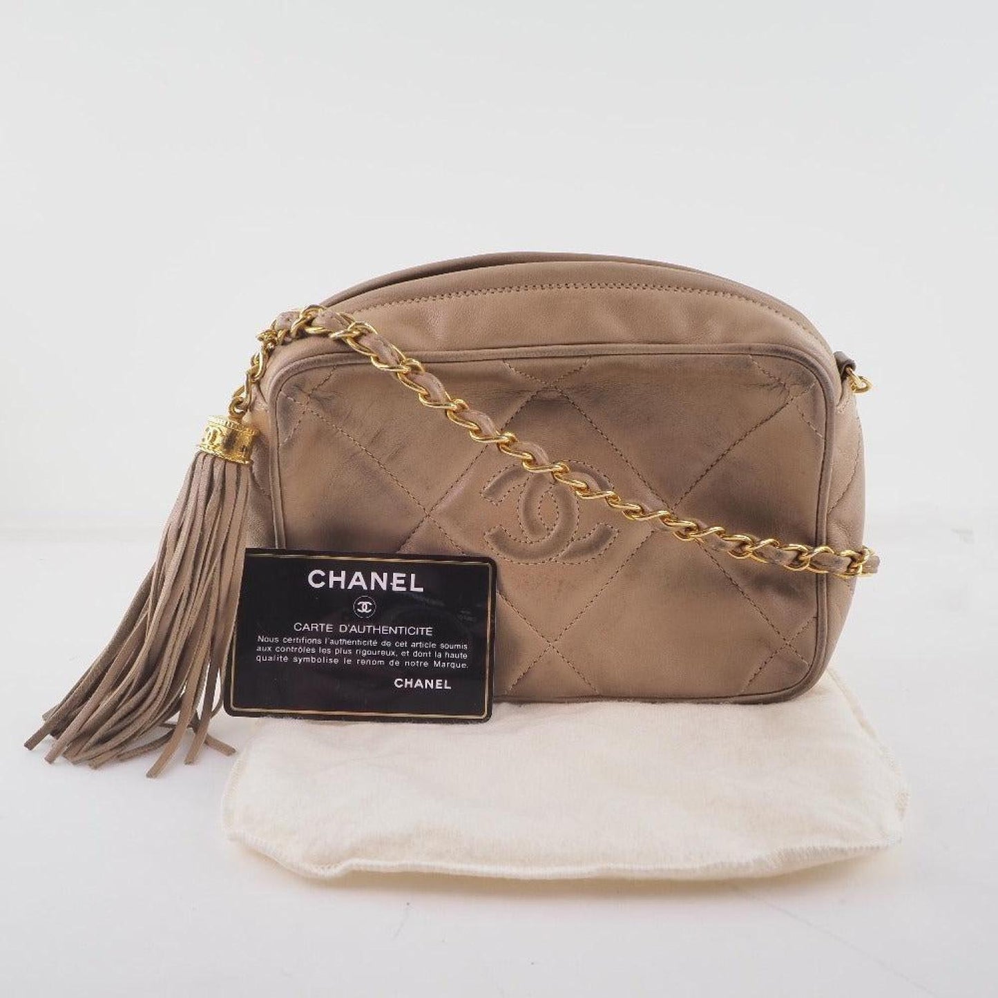 Chanel Camera Leather Shoulder Bag (Pre-Owned)