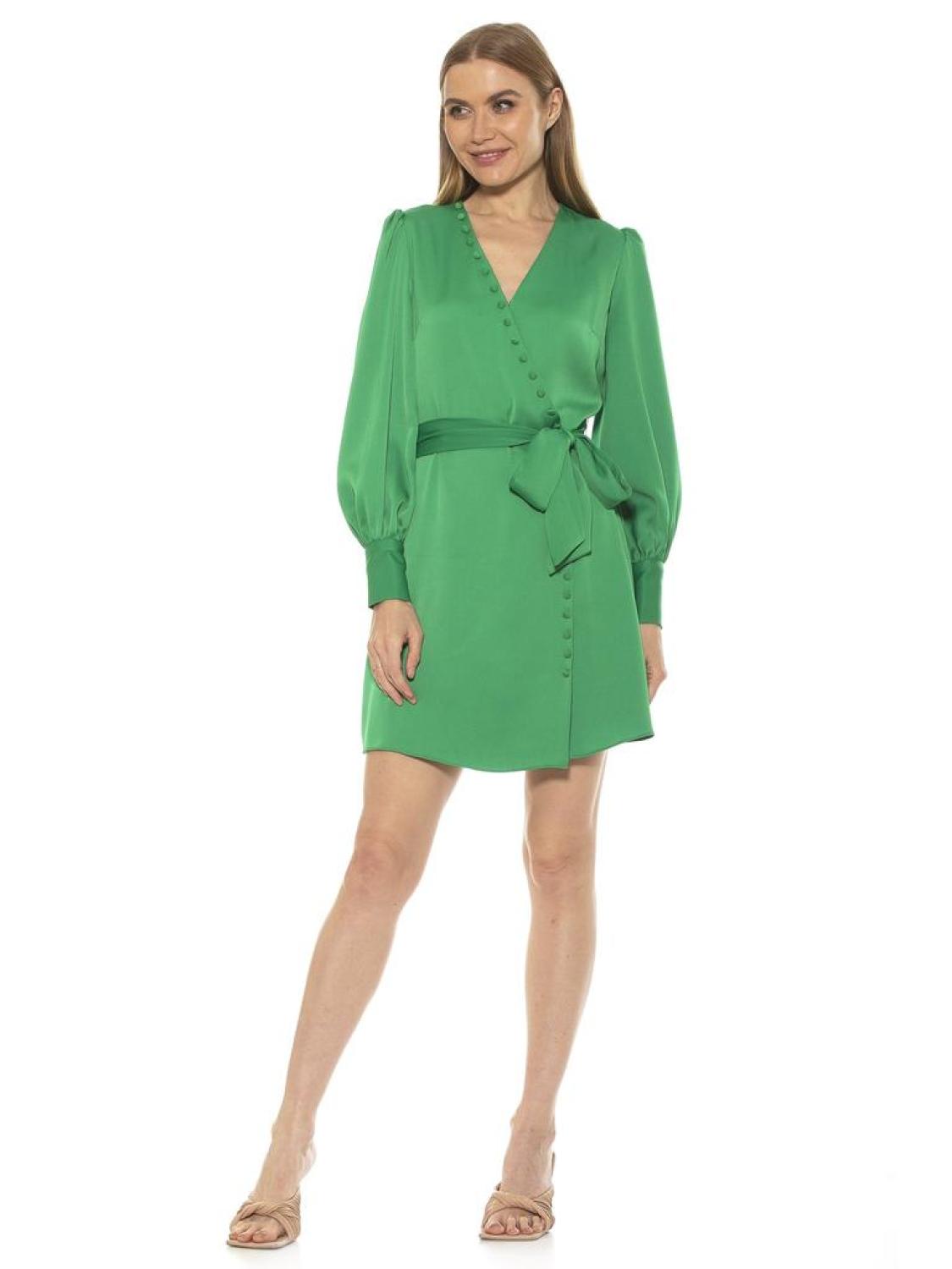 Mini Wrap Dress
