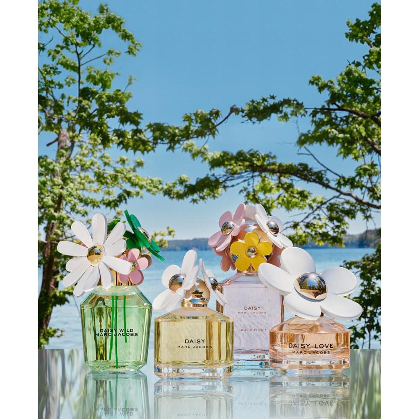 Daisy Wild Eau de Parfum, 1 oz.