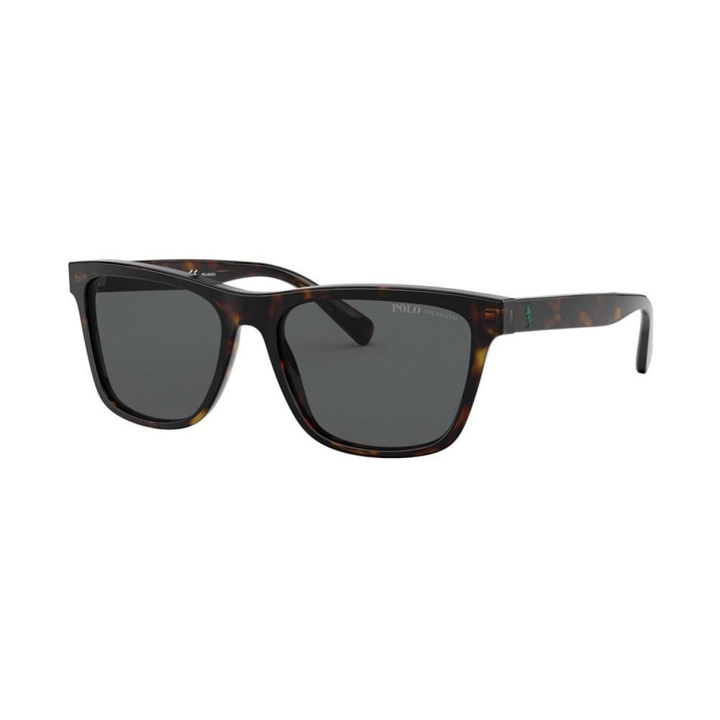 Polarized Sunglasses, 0PH4167