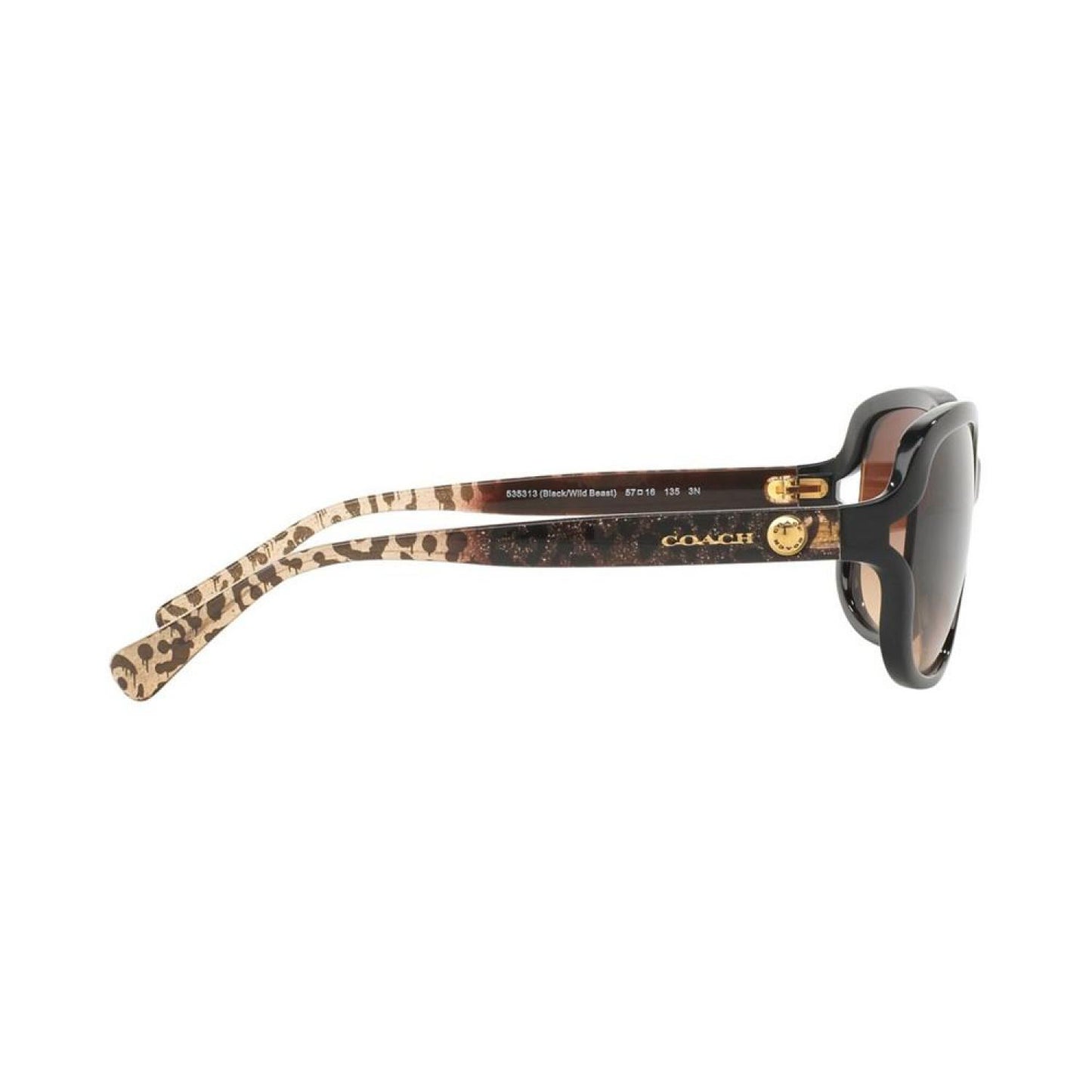Sunglasses, HC8169