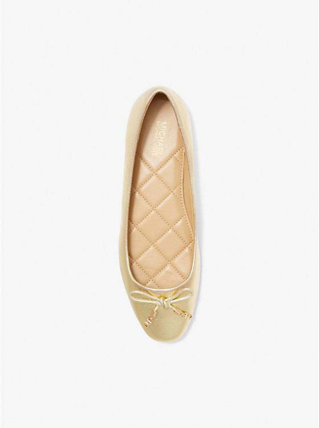 Nori Metallic Leather Ballet Flat