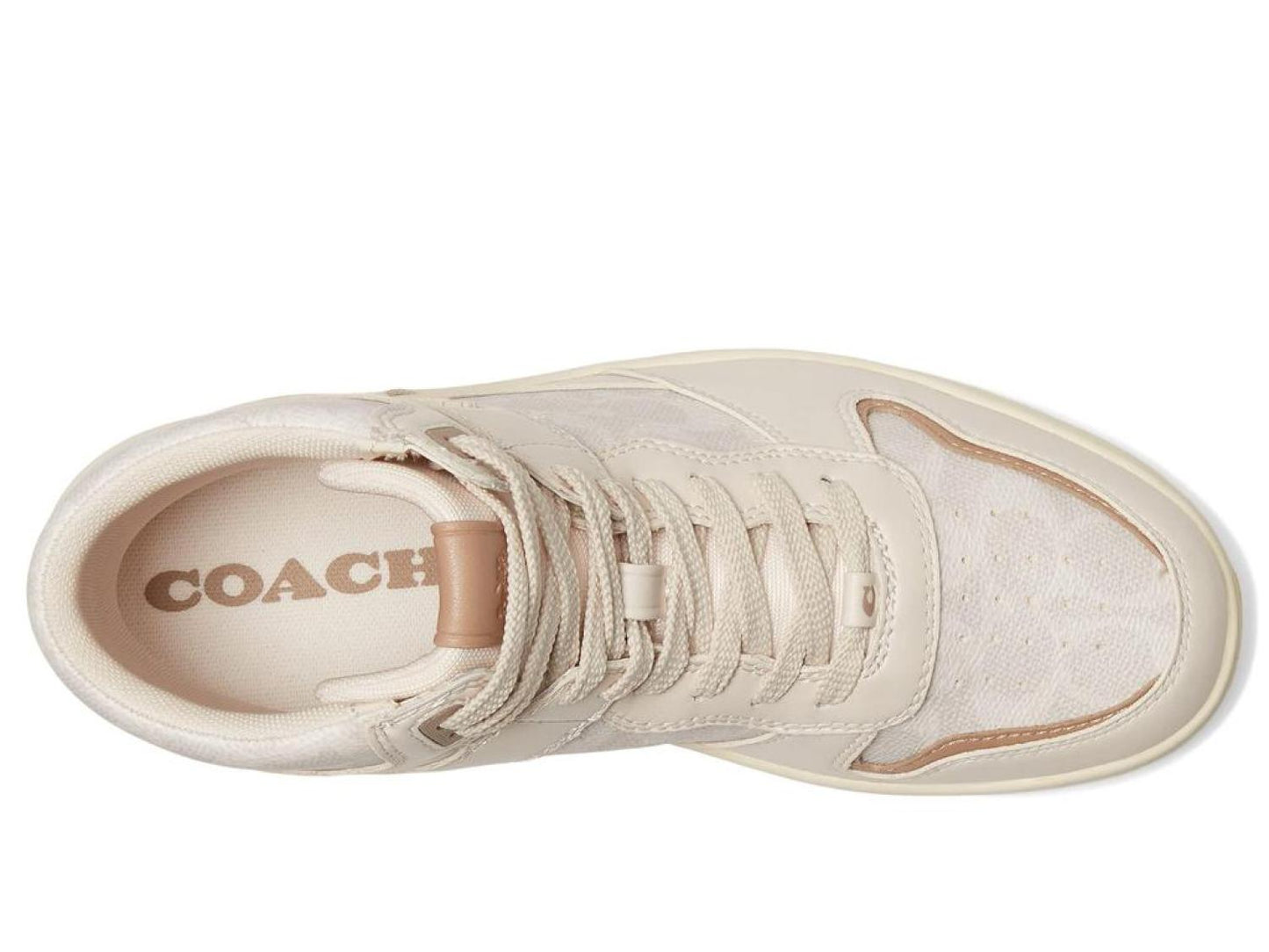 High-Top Coated Canvas Sneaker