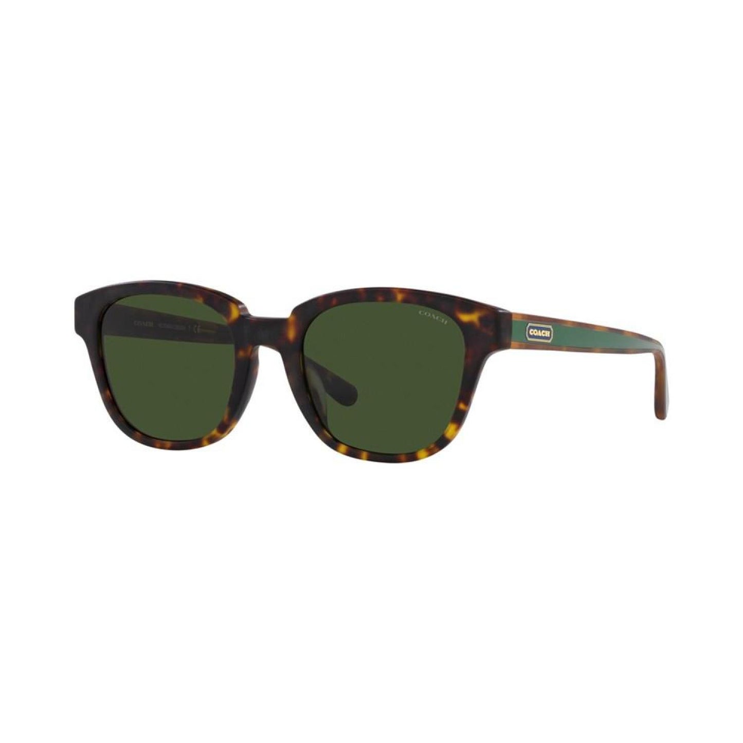 Men's Sunglasses, HC8340U C8003 53