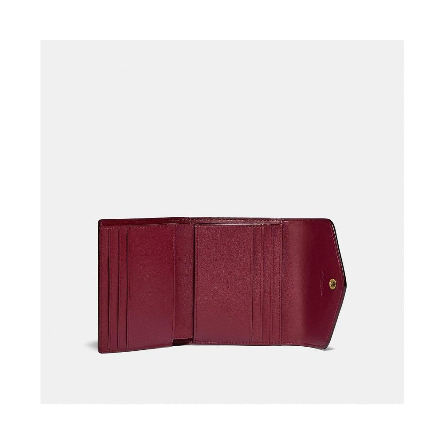Wyn Small Leather Wallet In Colorblock Signature Canvas