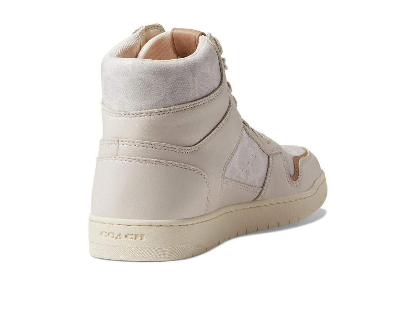 High-Top Coated Canvas Sneaker