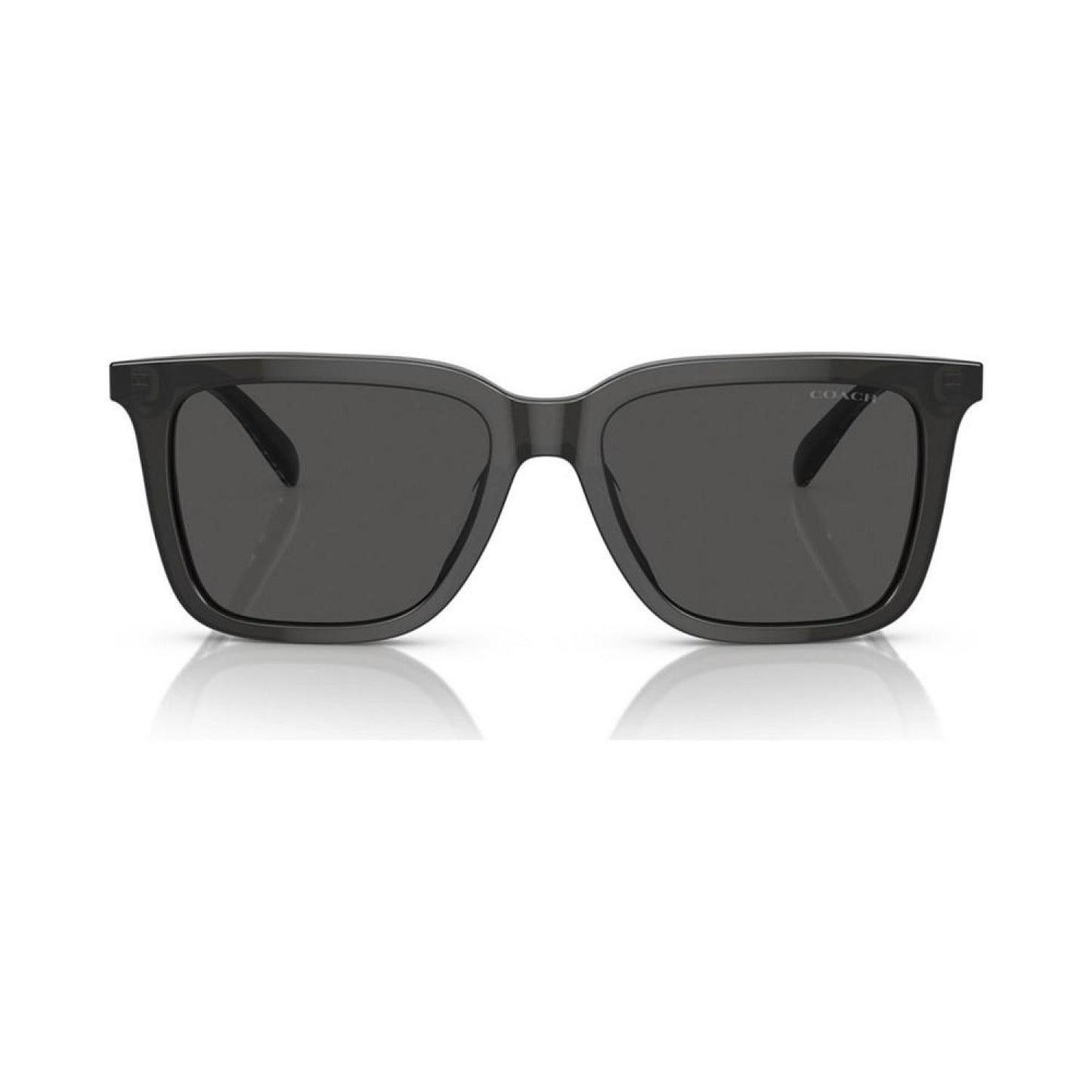 Men's CL910 Sunglasses HC8385U