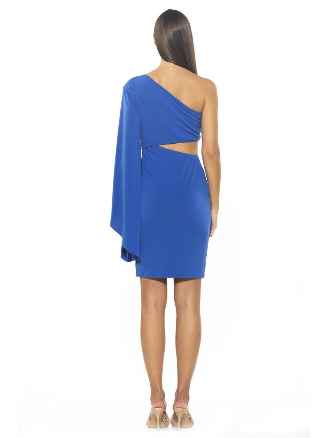 Reese One Shoulder Dress