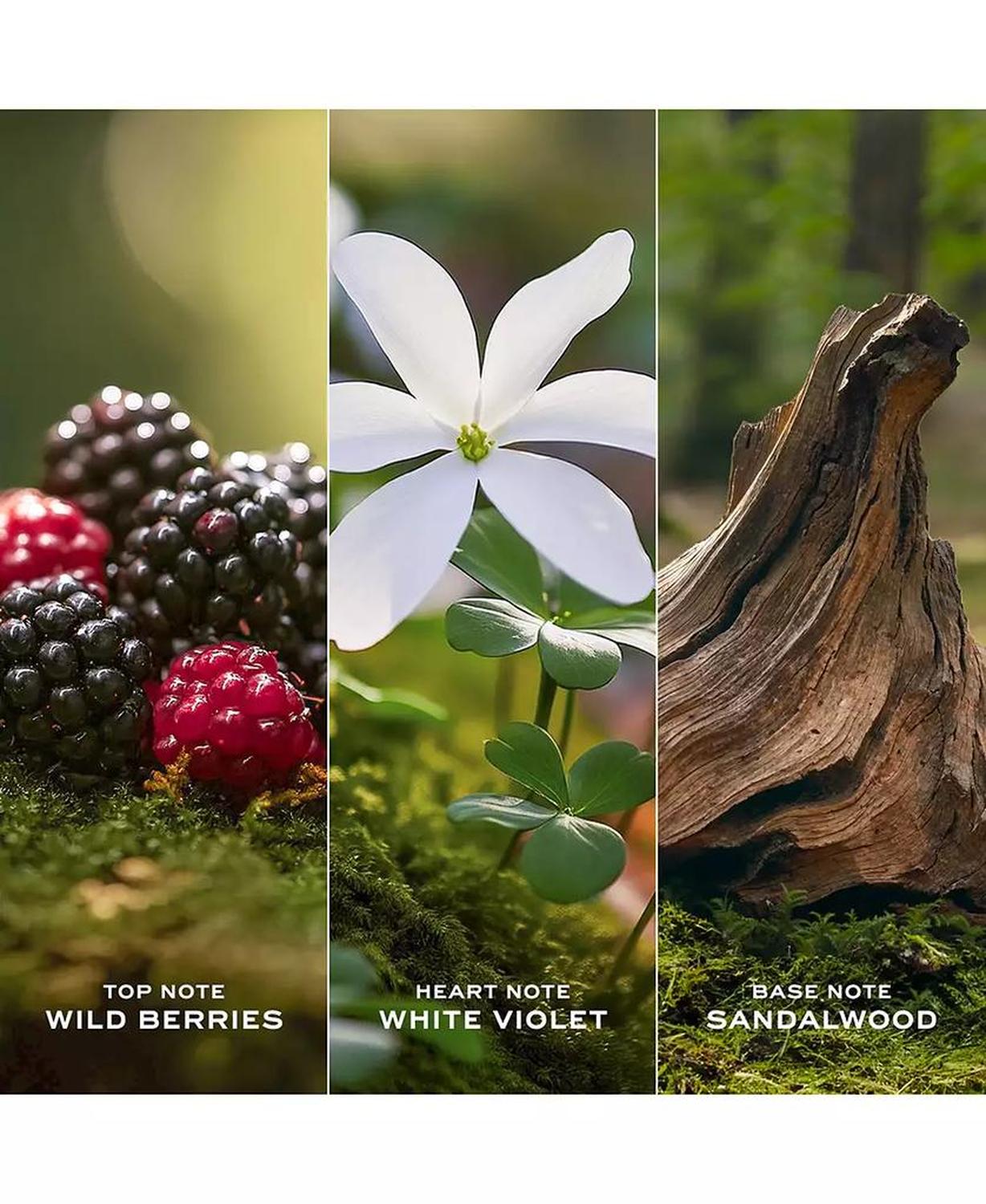 4-Pc. Daisy Eau de Toilette Gift Set