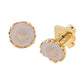 Gold-Tone Color Cubic Zirconia Stud Earrings