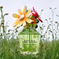 Daisy Wild Eau So Intense Eau de Parfum