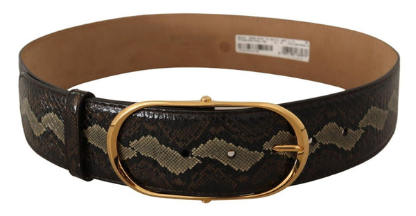 Dolce & Gabbana Elegant Snakeskin Belt with Gold Oval Buckle display picture 1