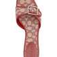 Women's Margot Kitten-Heel Slide Sandals