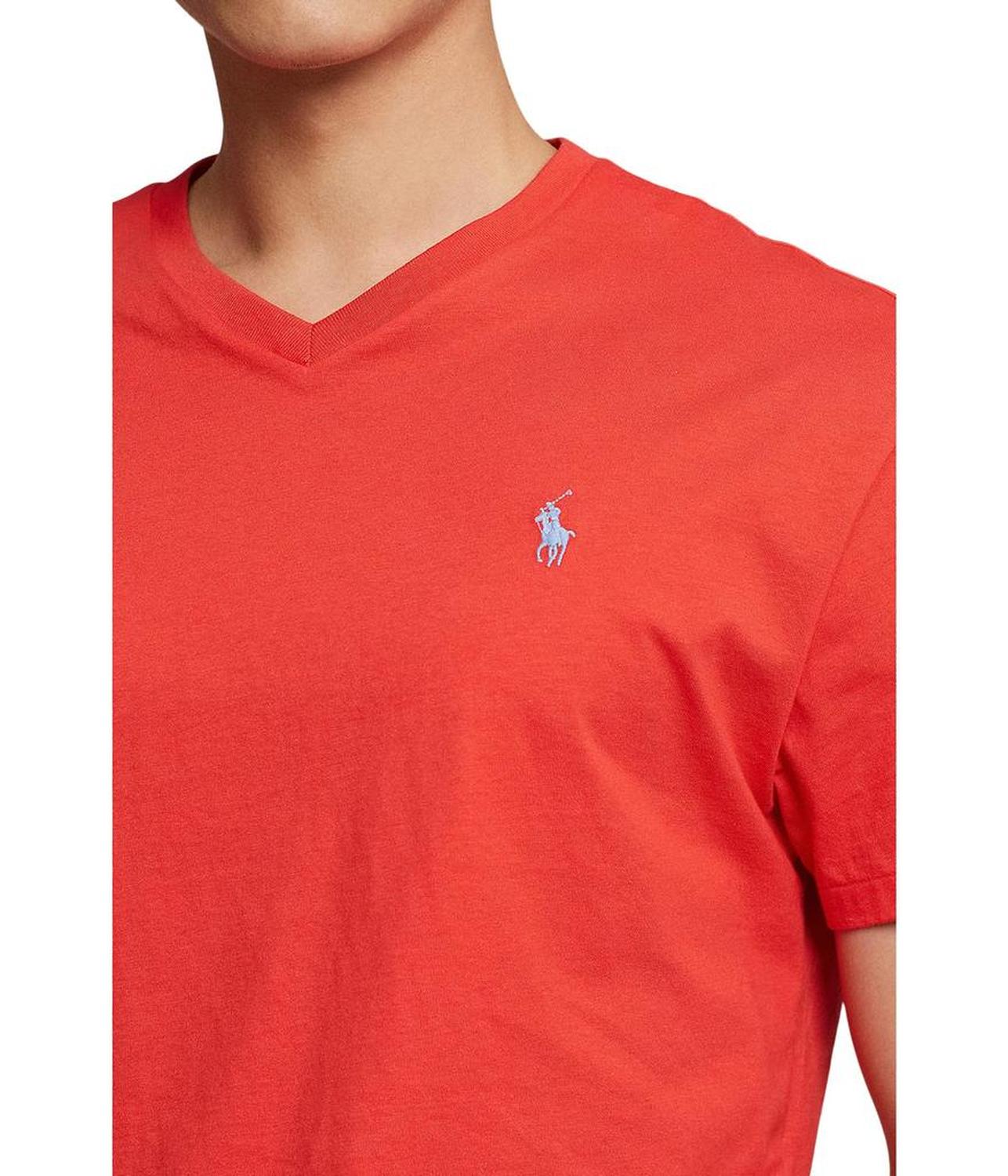 Classic Fit V-Neck Tee